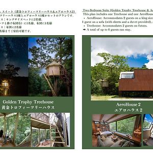 Treeful Treehouse Sustainable Resort